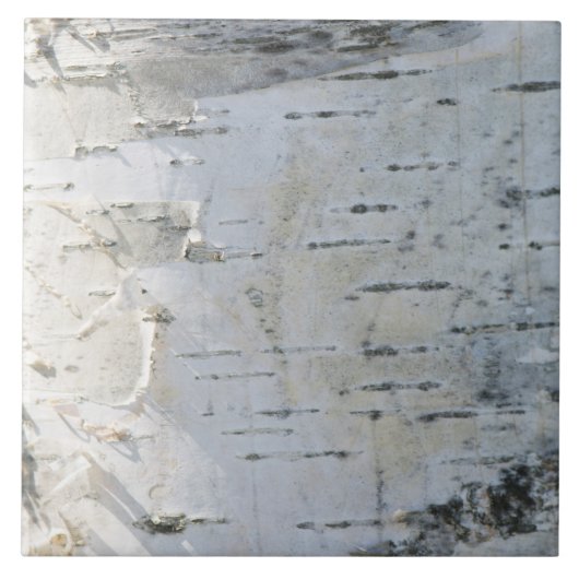 樺の木樹皮型 タイル (正面)