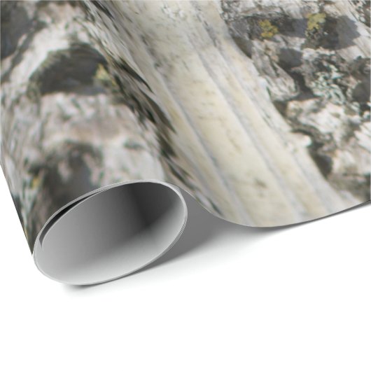 樺の木樹皮型 ラッピングペーパー (ロールコーナー)