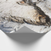 樺の木樹皮型 ラッピングペーパー (角)