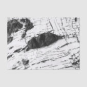 樺の木樹皮模様 薄葉紙 (正面)