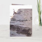 樺の木樹皮誕生日 カード (裏面)