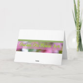 樺の木樹皮質組織 カード (裏面)