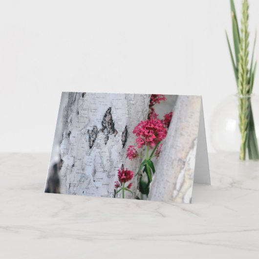 樺の木樹皮質組織 カード (正面)