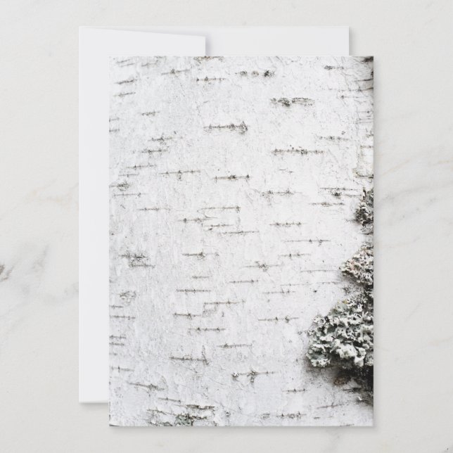 樺の木樹皮 (正面)