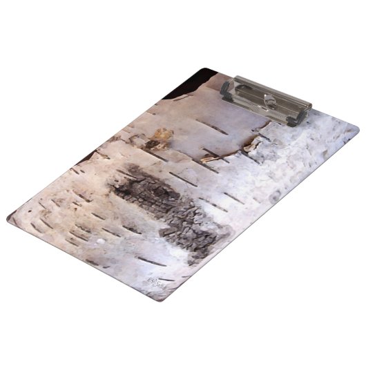 樺の木樹皮 クリップボード (アングル)