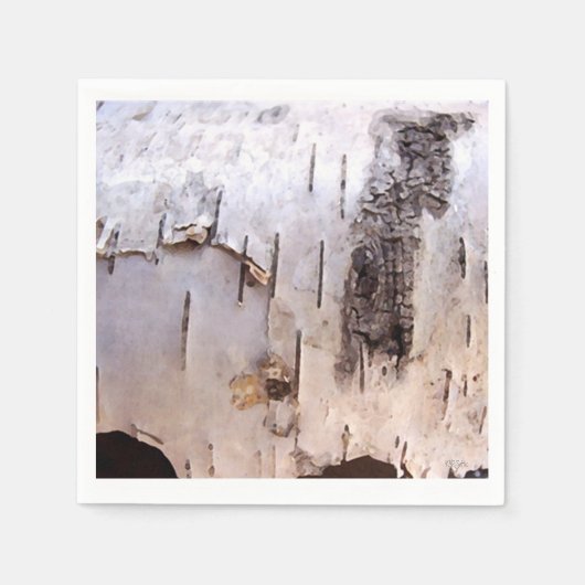 樺の木樹皮 スタンダードカクテルナプキン (正面)