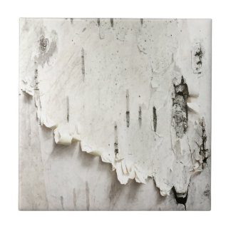 樺の木樹皮 タイル