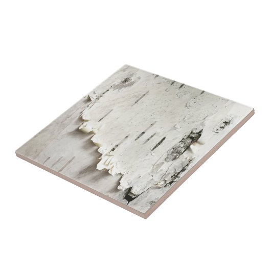 樺の木樹皮 タイル (側面)