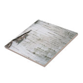 樺の木樹皮 タイル (側面)