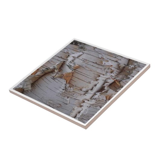 樺の木樹皮 タイル (側面)