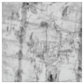 樺の木樹皮 ファブリック (見本)