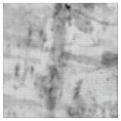 樺の木樹皮 ファブリック (クローズアップ)