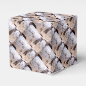 樺の木樹皮 フェイバーボックス (正面サイド)