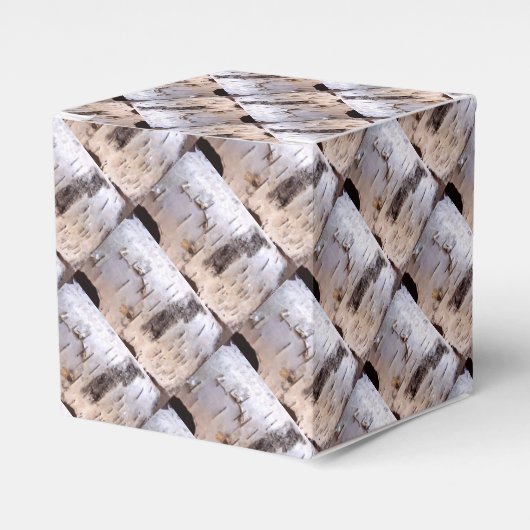 樺の木樹皮 フェイバーボックス (正面サイド)