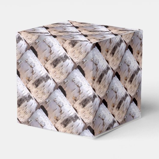 樺の木樹皮 フェイバーボックス (裏面サイド)