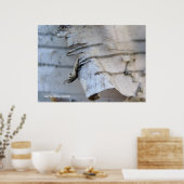 樺の木樹皮 ポスター (キッチン)