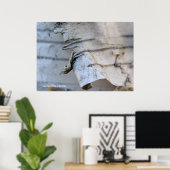 樺の木樹皮 ポスター (ホームオフィス)