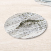 樺の木樹皮 ラウンドペーパーコースター (アングル)