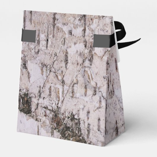 樺の木樹皮 – 木のテクスチャ自然写真 フェイバーボックス (裏面サイド)