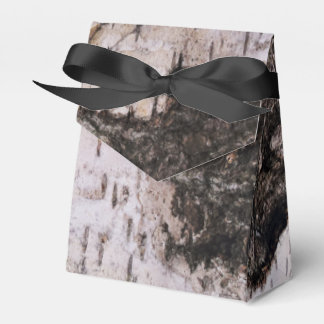 樺の木樹皮 – 木のテクスチャ自然写真 フェイバーボックス