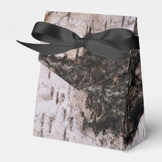 樺の木樹皮 – 木のテクスチャ自然写真 フェイバーボックス (正面サイド)