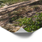 樺の木水族館パノラマ ポスター (角)