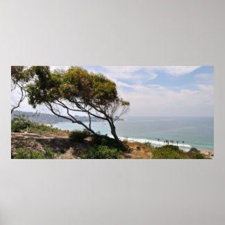 樺の木水族館パノラマ ポスター