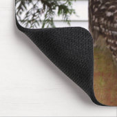 樺の木湾のフクロウ マウスパッド (コーナー)