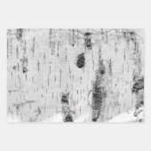 樺の木皮柄包装紙シート ラッピングペーパーシート (正面2)