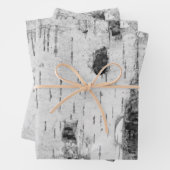 樺の木皮柄包装紙シート ラッピングペーパーシート (インサイチュ)