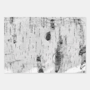 樺の木皮柄包装紙シート ラッピングペーパーシート