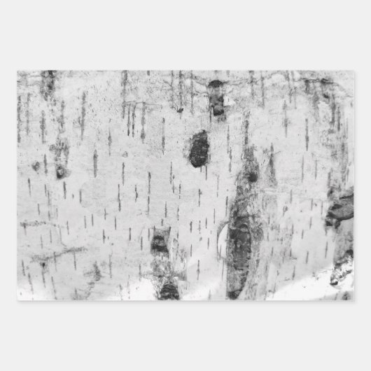 樺の木皮柄包装紙シート ラッピングペーパーシート (正面)