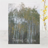 樺の木考えのバークズオブユー カード (黄色い花)