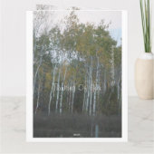 樺の木考えのバークズオブユー カード (裏面)