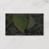 樺の木葉グリーン 名刺 (裏面)