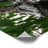 樺の木顔ツリー写真価値ポスター紙 ポスター (角)