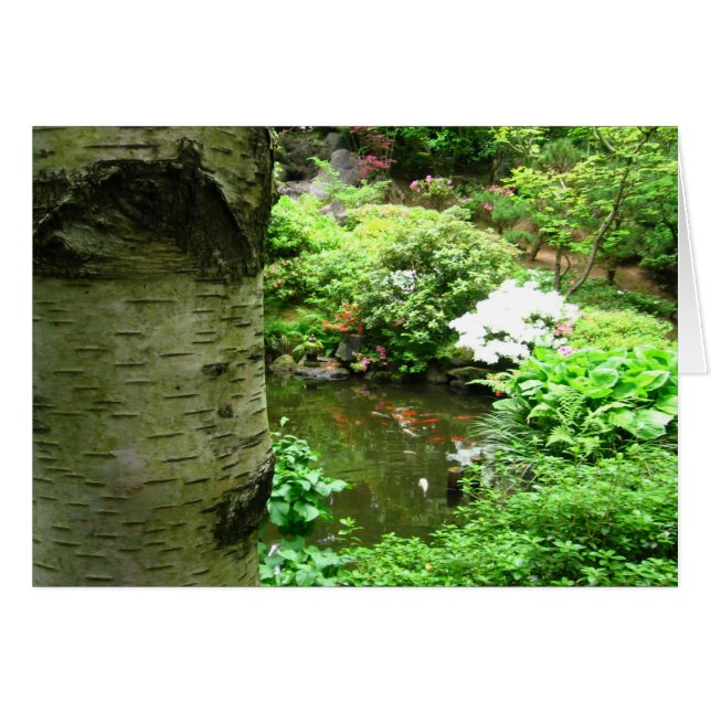 樺の木 (正面横)