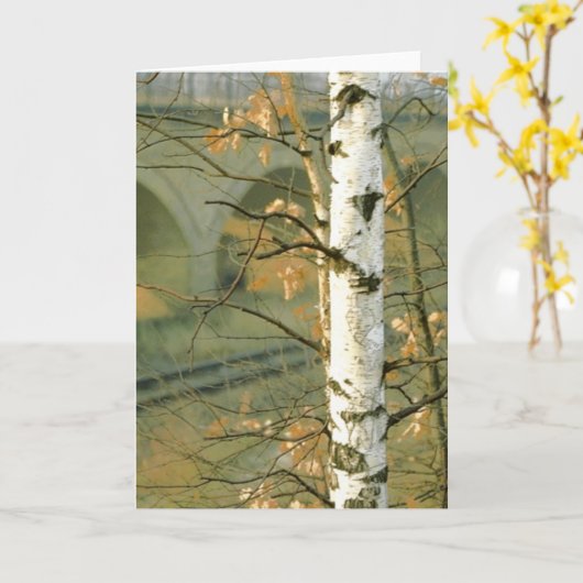 樺の木 カード (黄色い花)