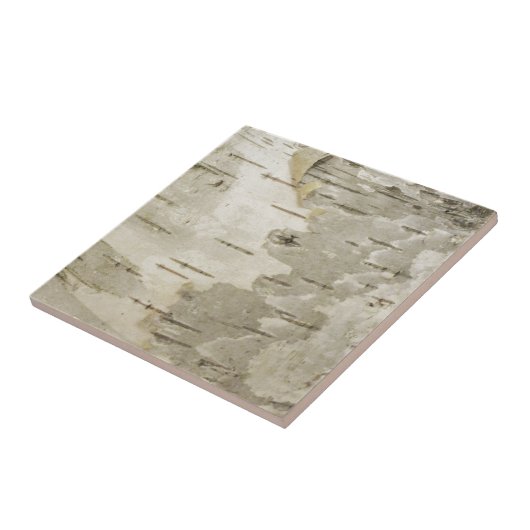 樺の木 タイル (側面)