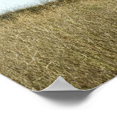 樺の木 ポスター (角)