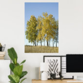 樺の木 ポスター (ホームオフィス)