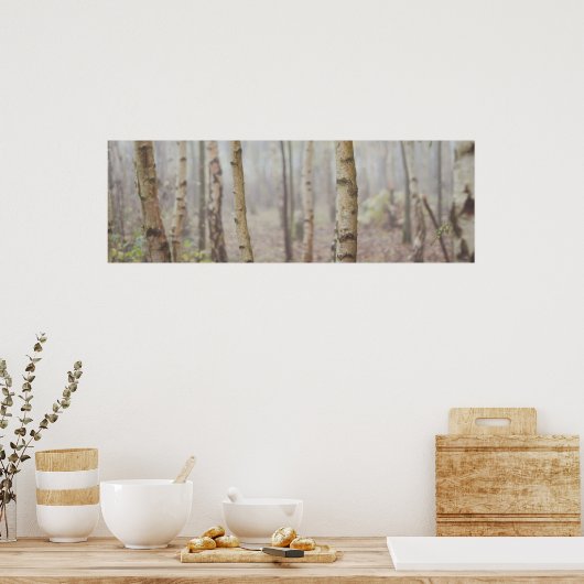 樺の木 ポスター (キッチン)