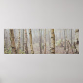 樺の木 ポスター (正面)