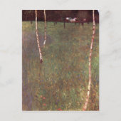 樺の木 ポストカード (正面)