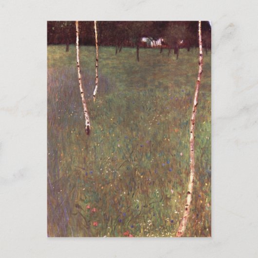 樺の木 ポストカード (正面)