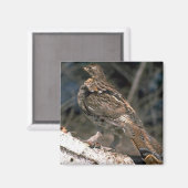 樺の木・ログに立つ手荒い雑巾 マグネット (正面/裏面)