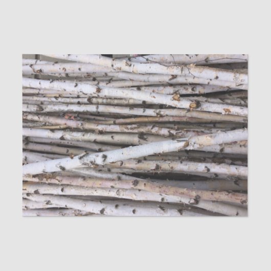 樺の木 薄葉紙 (正面)