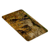 樺の木in秋 マグネット (右側)