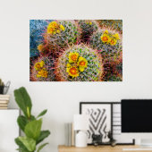 樽型サボテン、カリフォルニア州 ポスター (ホームオフィス)