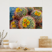 樽型サボテン、カリフォルニア州 ポスター (キッチン)